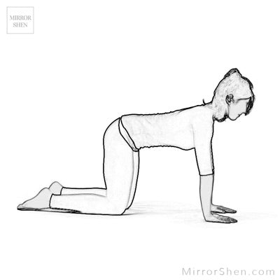 Bharmanasana